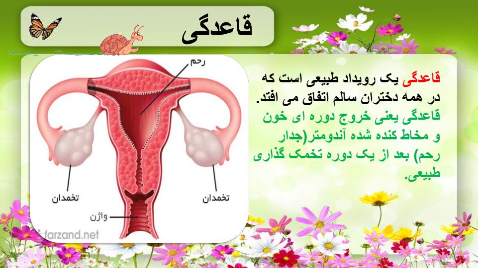 بهداشت-دوران-قاعدگی3