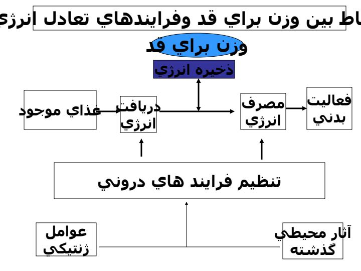 تعادل-غذایی3