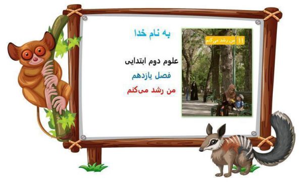 پاورپوینت-علوم-دوم-درس-۱۱-من-رشد-میکنم