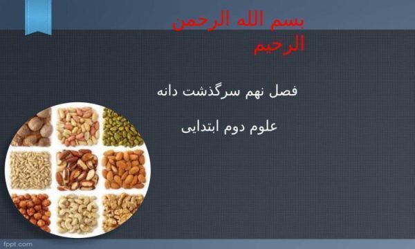 پاورپوینت-علوم-دوم-درس-۹-سرگذشت-دانه