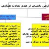 تعادل-غذایی