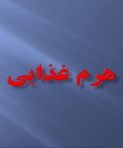 هرم-غذایی