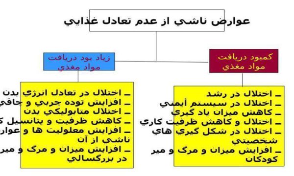 تعادل-غذایی