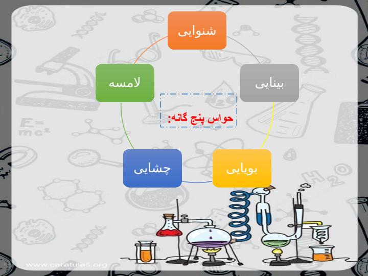 پاورپوینت-علوم-دوم-درس-۱-زنگ-علوم-گردش-در-باغ4