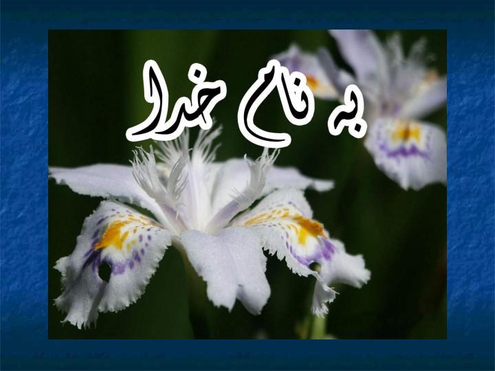 مواد-و-خدمات-کتابخانه-برای-بزرگسالان-بی-سواد1