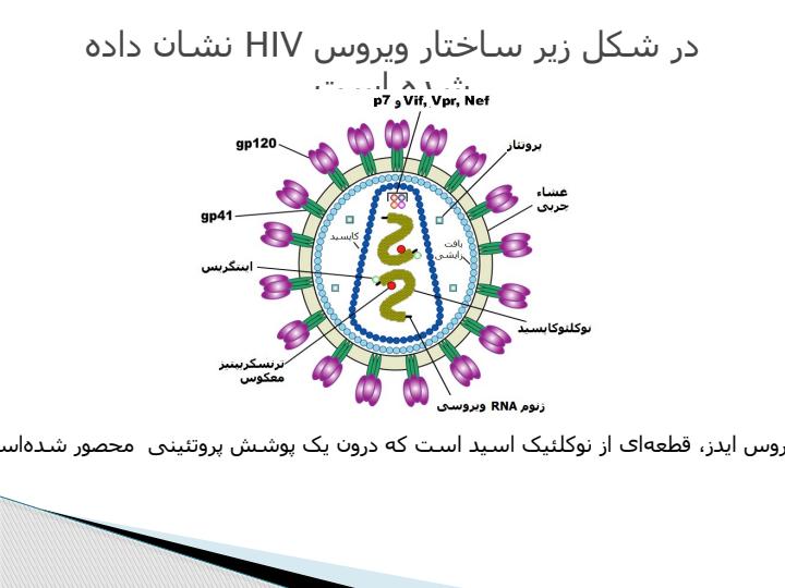 آشنایی-با-بیماری-ایدز4