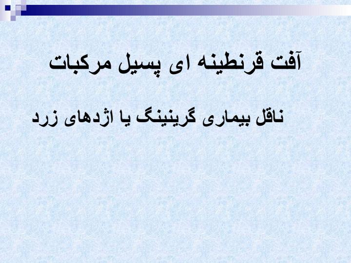 آفت-قرنطینه-ای-پسیل-مرکبات-ناقل-بیماری-گرینینگ-یا-اژدهای-زرد1