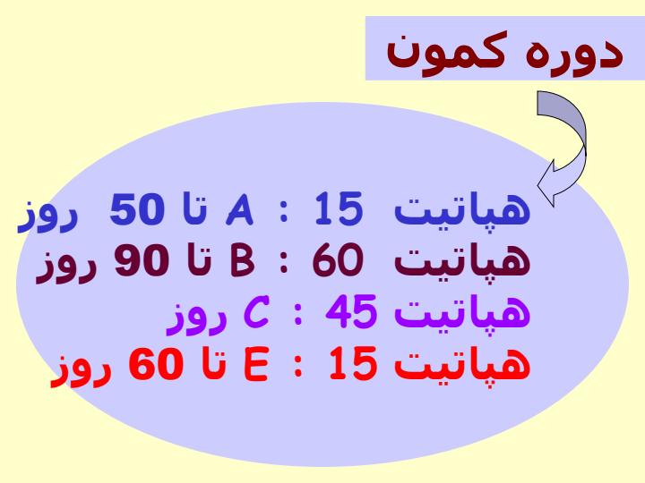 اپيدميولوژي-هپاتيت-هاي-ويروسي2