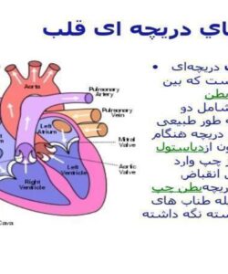 بيماريهاي-دریچه-ای-قلب