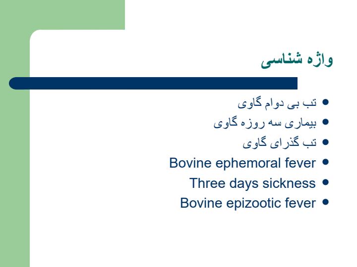 بیماری-تب-سه-روزه1