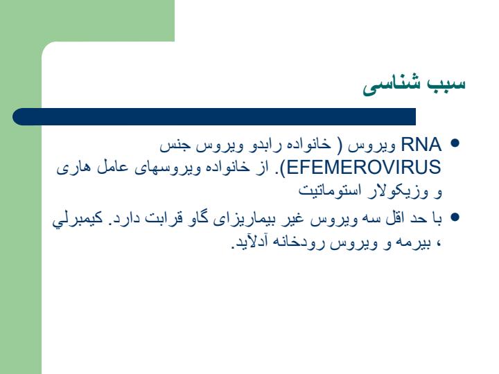 بیماری-تب-سه-روزه3