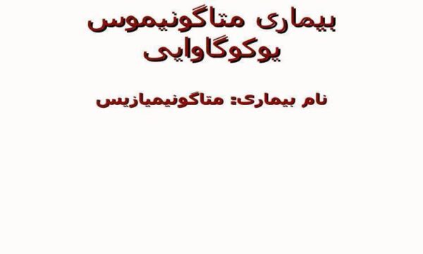 بیماری-متاگونیموس-یوکوگاوایی