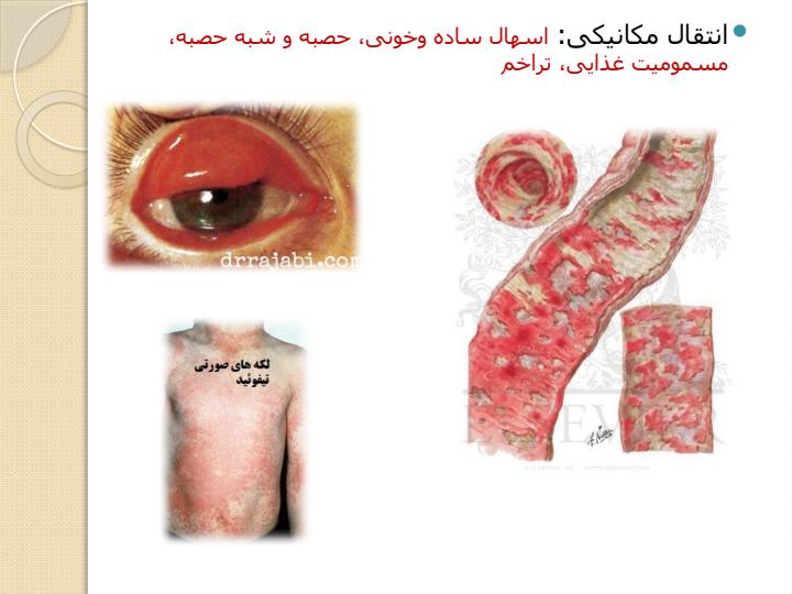 حشره-شناسی-پزشکی-و-مبارزه-با-ناقلین4