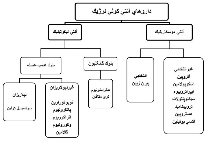 داروهاي-آنتي-كولي-نرژيك1