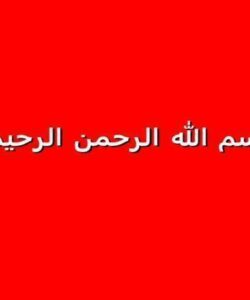 روز-جهانی-قلب-بیماری-قلبی-عروقی