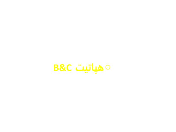 شناخت-بیماری-هپاتیت-BوC-و-برنامه-ملی-مبارزه-با-آن2