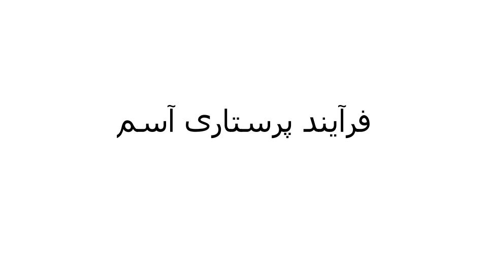 فرآیند-پرستاری-آسم1