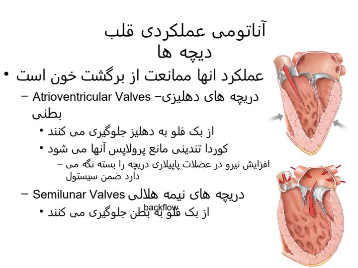 فیزیولوژی-قلبی-عروقی4