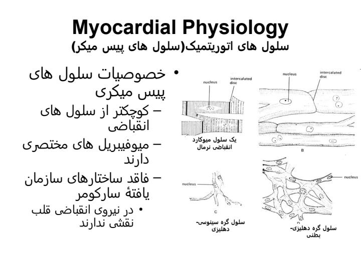 فیزیولوژی-قلبی-عروقی6