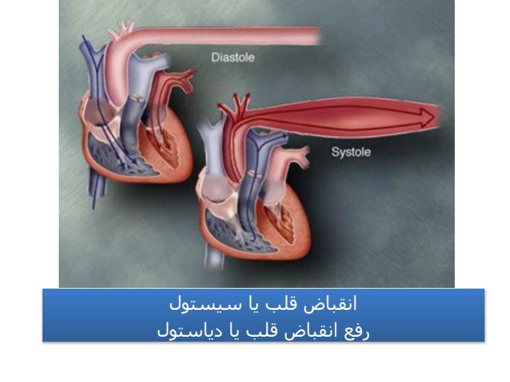 قلب-دستگاه-گردش-خون4