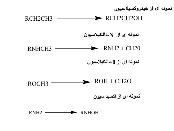 متابولیسم-داروها3