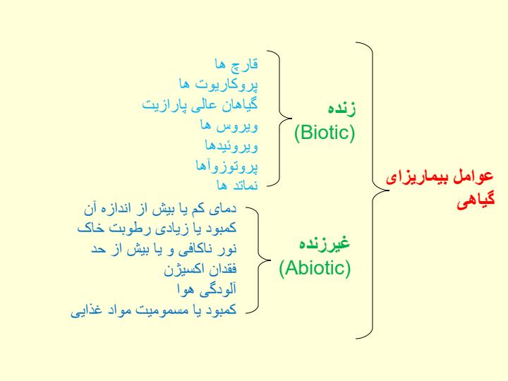 مدیریت-بیماری-های-گیاهی4