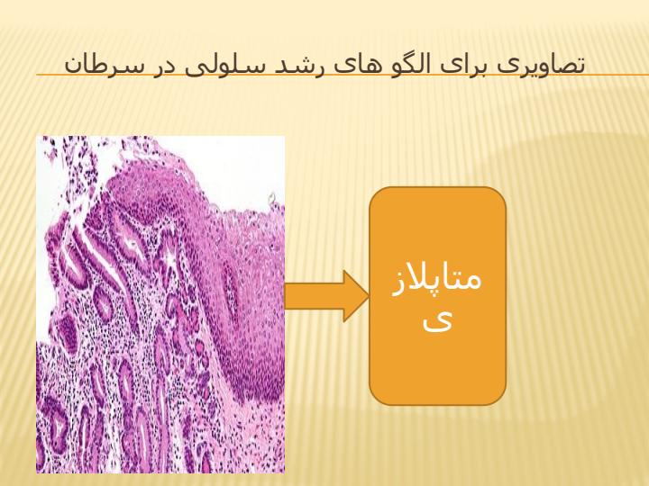 مراقبت-های-پرستاری-از-بیمار-سرطانی5