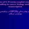 نقش-های-پیام-رسانی-GPCRs-در-رونویسی-ژن-و-بیولوژی-سرطان