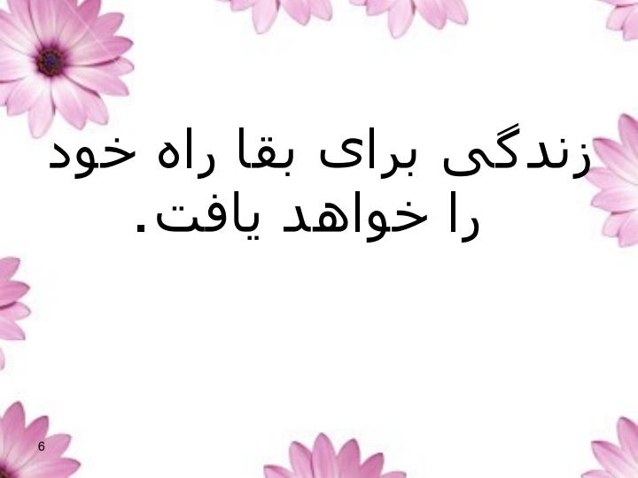 نگاهی-به-تئوری-های-معاصر-در-مدیریت-با-تاکید-بر-کاربرد-تئوری-آشوب-در-پرستاری5