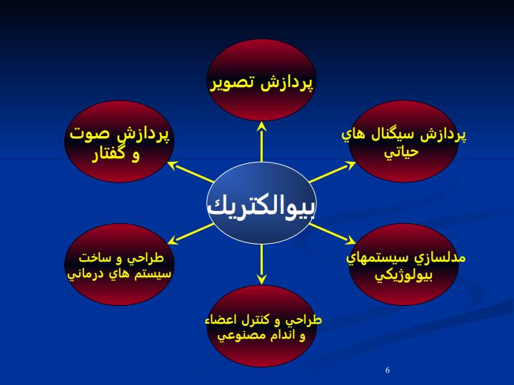 پاورپوینت-دانشكده-مهندسی-پزشكی-دانشگاه-صنعتی-اميركبير5