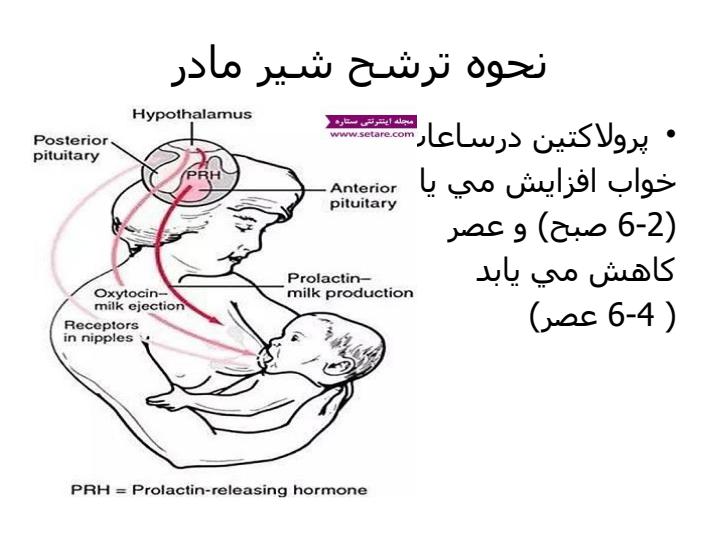 پرستاري-بهداشت-خانواده-تغذيه-كودك3