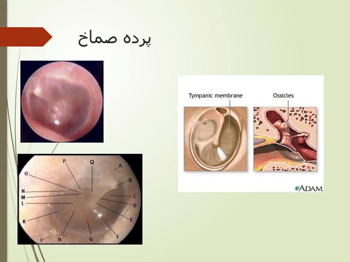 پرستاری-گوش5