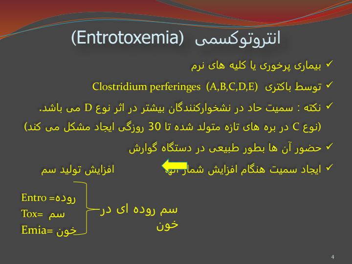 کاربرد-تغذیه-در-پیشگیری-از-بیماری-های-متابولیکی-شایع-در-گوسفند3