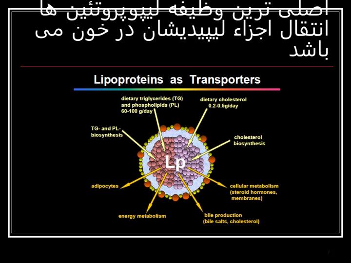 اجزاء-تشکیل-دهنده-لیپو-پروتئین-ها6