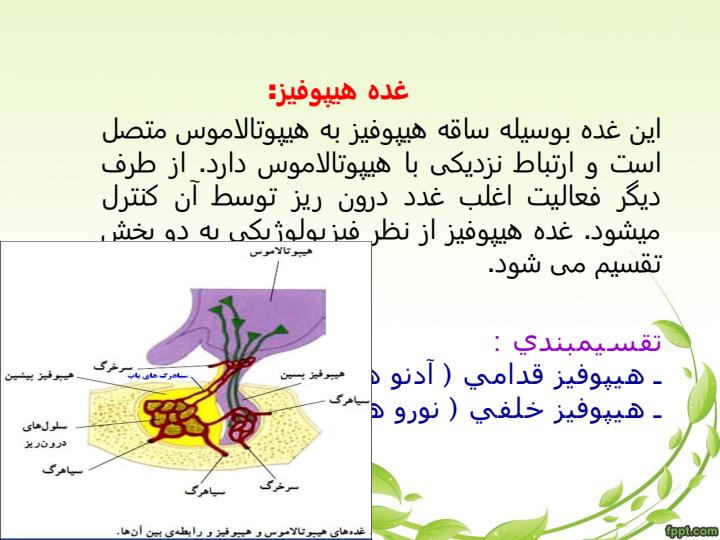 اختلالات-غده-هیپوفیز2