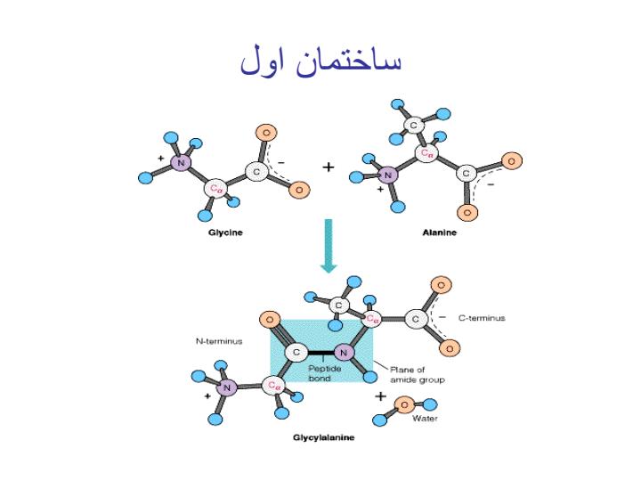 بيوشيمي-عمومي-فصل-اول-پروتئین-ها3