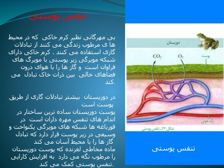 درس-3-تبادلات-گازی-زیست5
