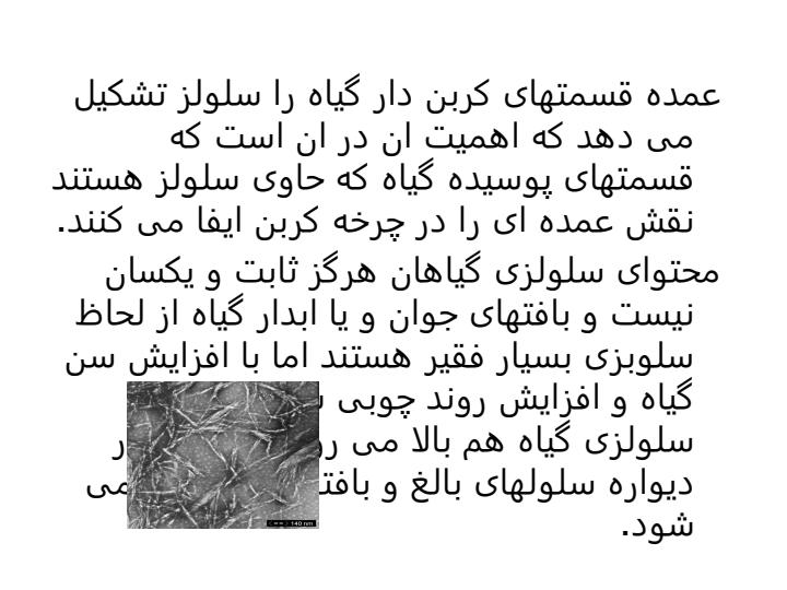 میکروبیولوژی-سلولز2
