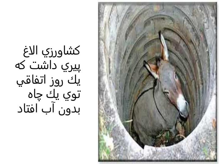 الاغ-پير1