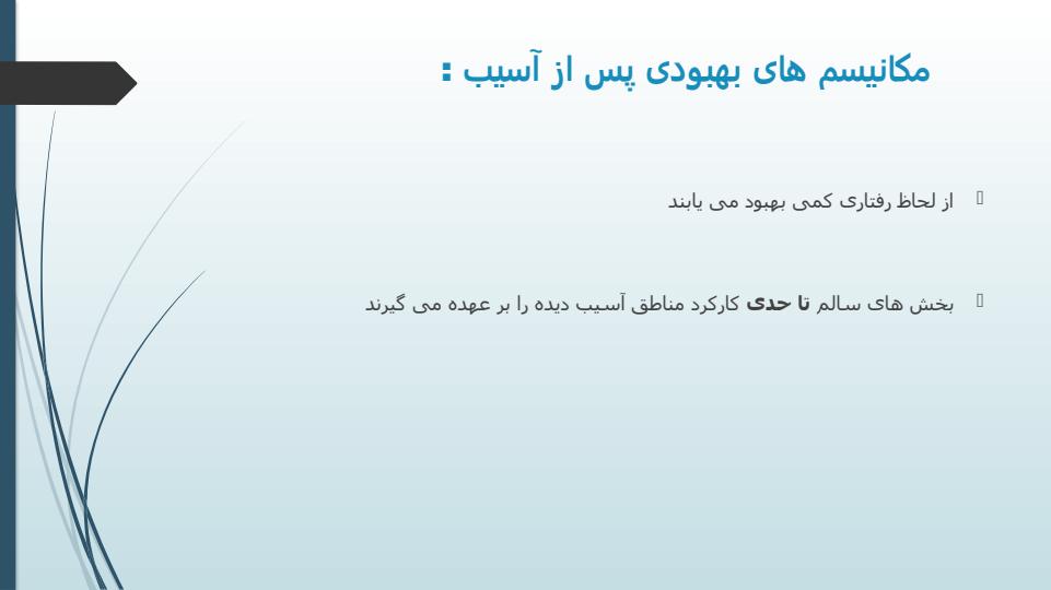 علل-آسیب-مغزی5