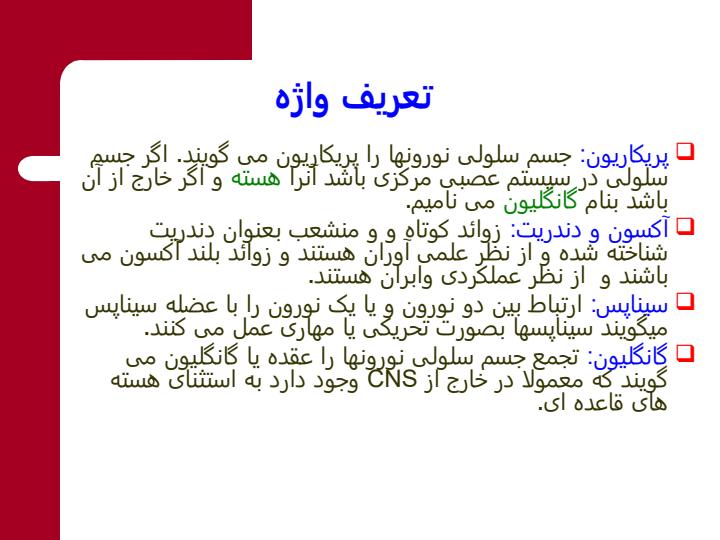 فیزیولوژی-سیستم-عصبی2