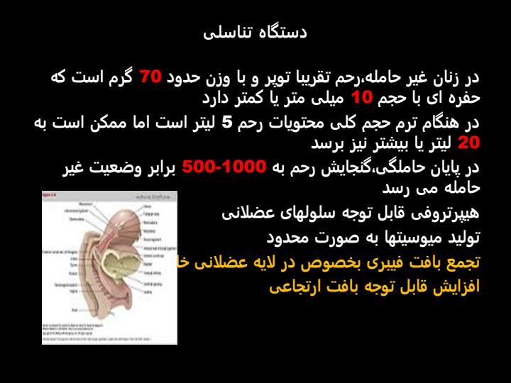 فیزیولوژی-مادر2