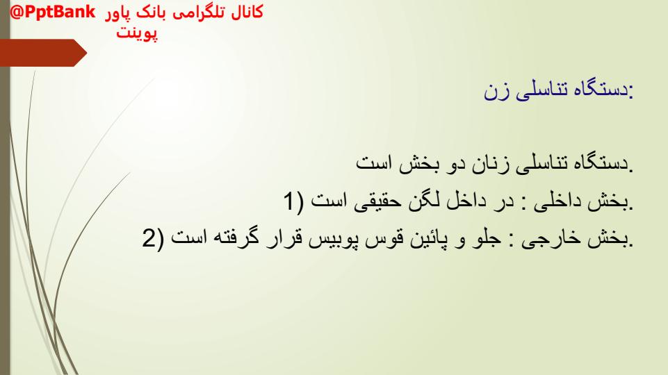 فیزیولوژی-و-آناتومی-ناحیه-تناسلی-زنان2
