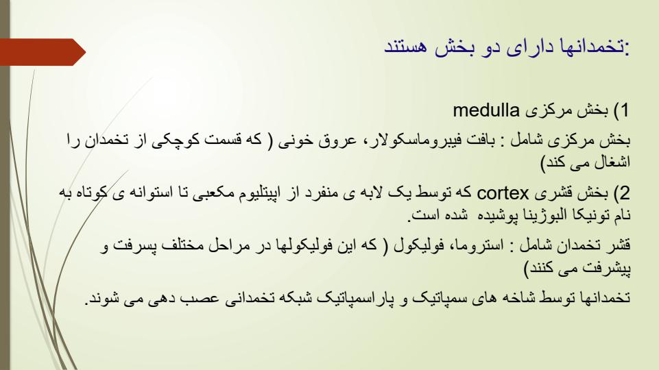 فیزیولوژی-و-آناتومی-ناحیه-تناسلی6