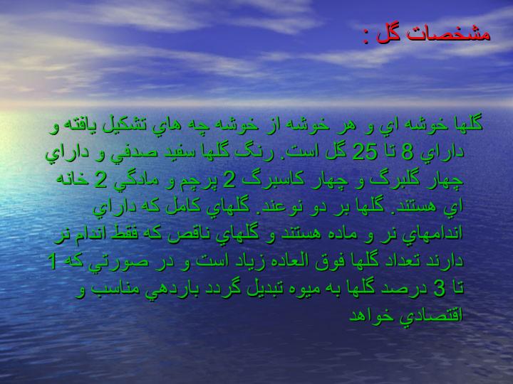 فیزیولوژی-وافات-زیتون3