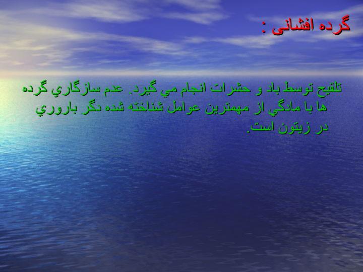 فیزیولوژی-وافات-زیتون5
