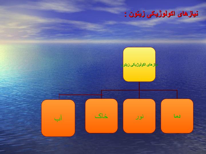 فیزیولوژی-وافات-زیتون6