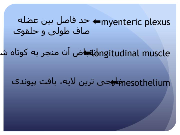 فیزیولوژی-گوارش5